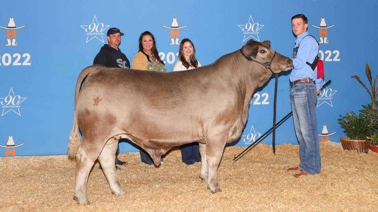 DYNO X LCC 317 CONVENTIONAL EMBRYOS