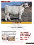 SHACK ATTACK A SEMEN