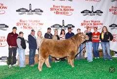 8035 EMBRYOS