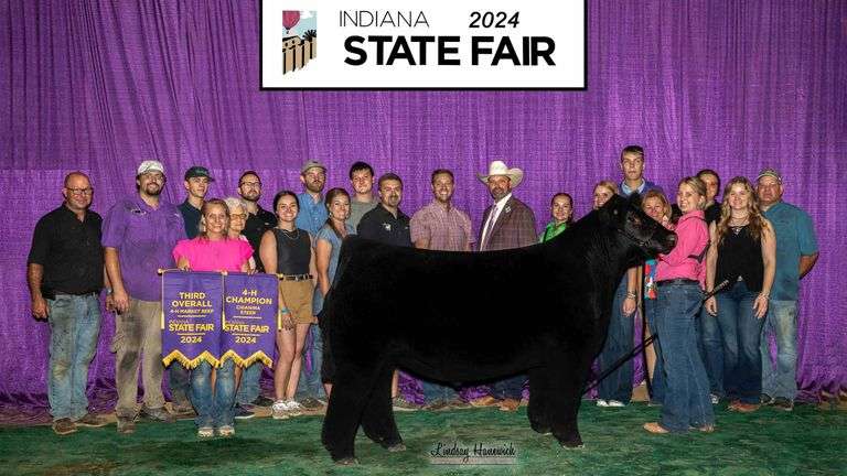 EVA (I-80 X TOTAL SOLUTION)  EMBRYOS