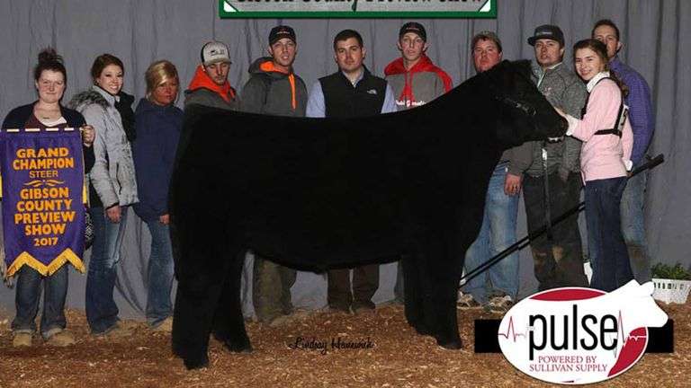 BELLA (DIRTY HARRY X MITTEN MAN) EMBRYOS