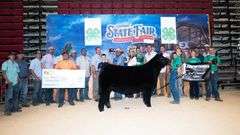 TAG 200 HEIFER