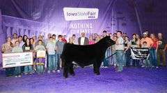 TAG 200 HEIFER