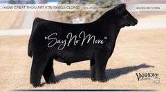 TAG 200 HEIFER
