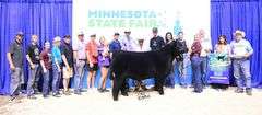 TAG 200 HEIFER
