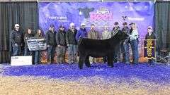 TAG 200 HEIFER