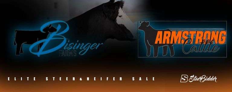 ARMSTRONG / BISINGER 10/12/25