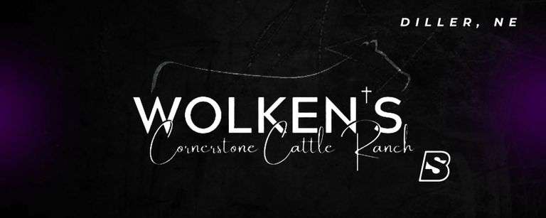 WOLKEN'S CORNERSTONE CATTLE RANCH 10/28/25