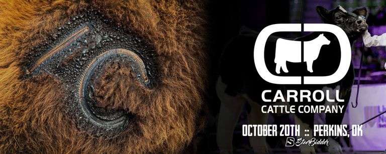 CARROLL CATTLE COMPANY 10/20/25