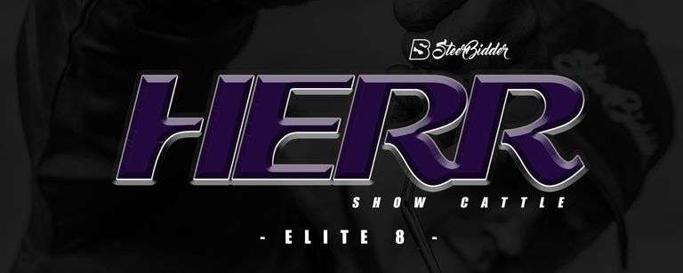 HERR SHOW CATTLE 10/25/25