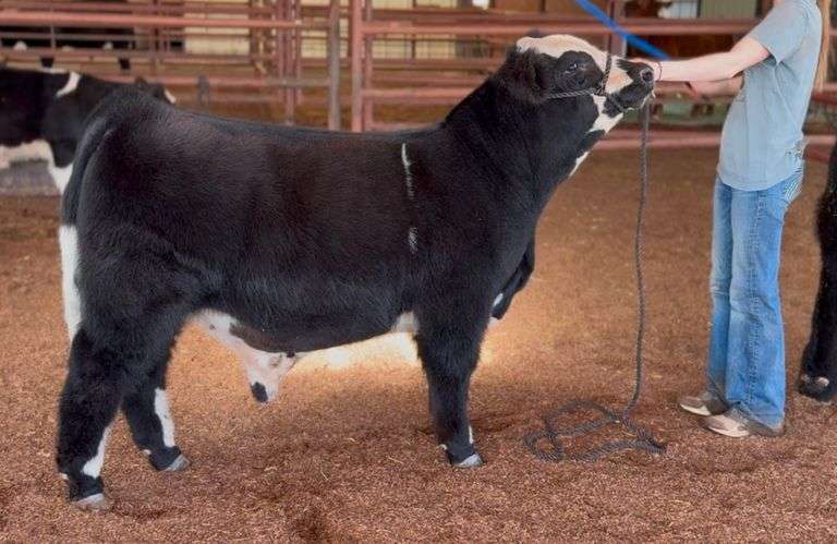 5 UNITS OF LIVIN' THE DREAM SEMEN