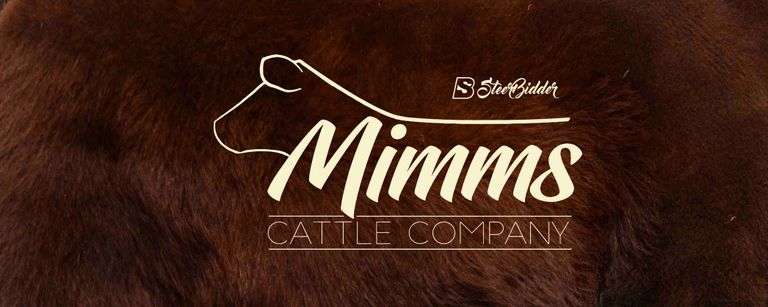 MIMMS CATTLE COMPANY 12/4/25