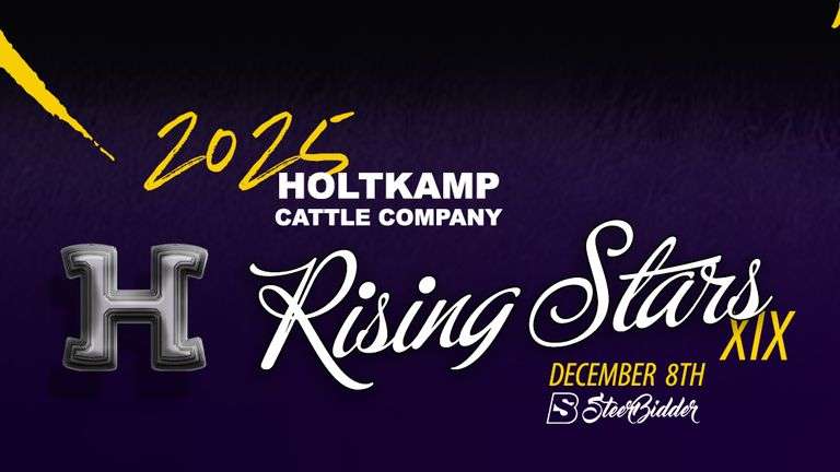 HOLTKAMP CATTLE COMPANY RISING STARS 12/8/25