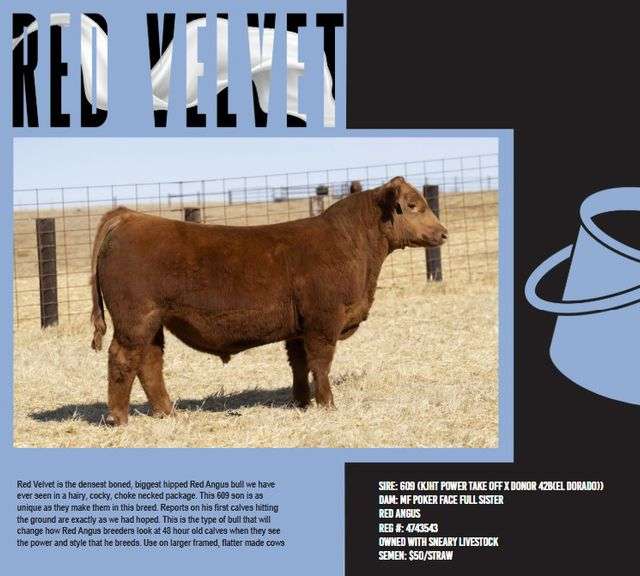 BIX RED VELVET SEMEN