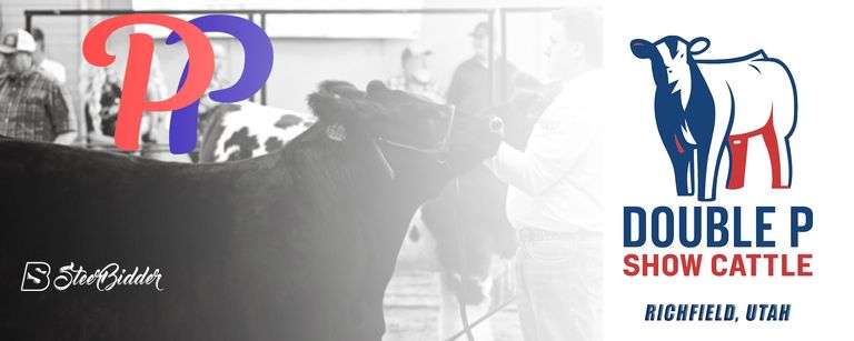 DOUBLE P SHOW CATTLE - 12/2/25