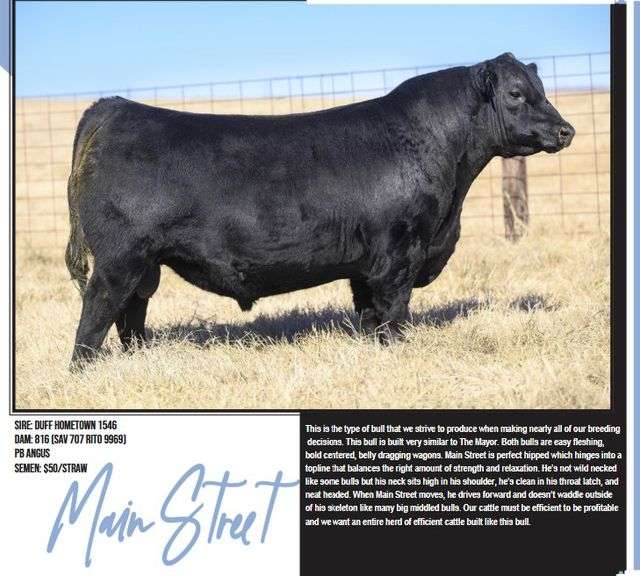 BIX MAIN STREET SEMEN