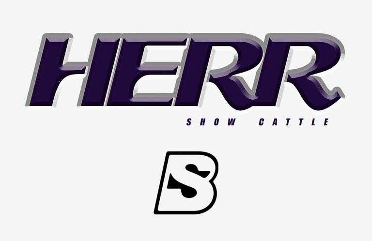 HERR SHOW CATTLE 11/13/25