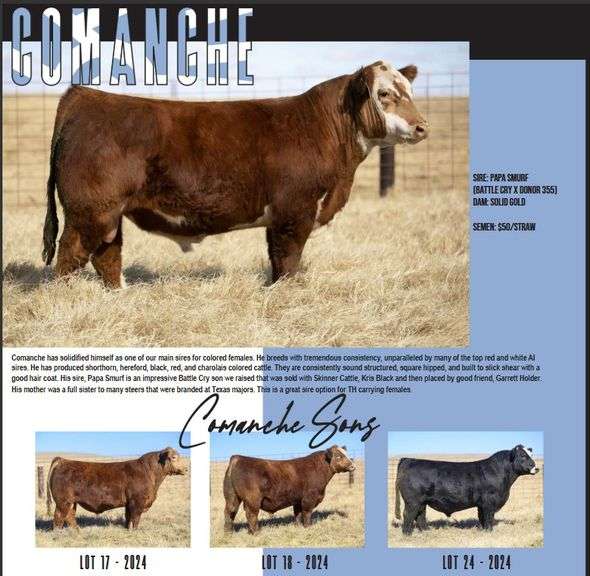 BIX COMANCHE SEMEN