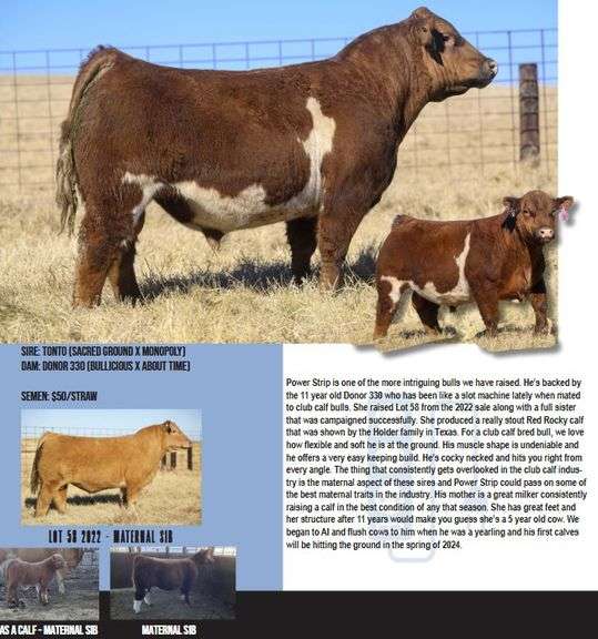 BIX BURNING SAGE SEMEN