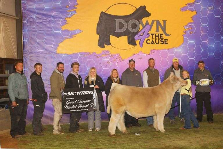 WEBSTER DONOR 1/708 X IN GOD WE TRUST EMBRYOS