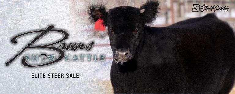 BRUNS SHOW CATTLE 1/2/26