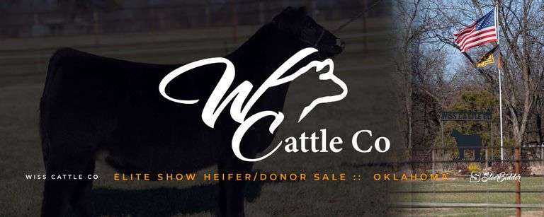 WISS CATTLE 12/19/25