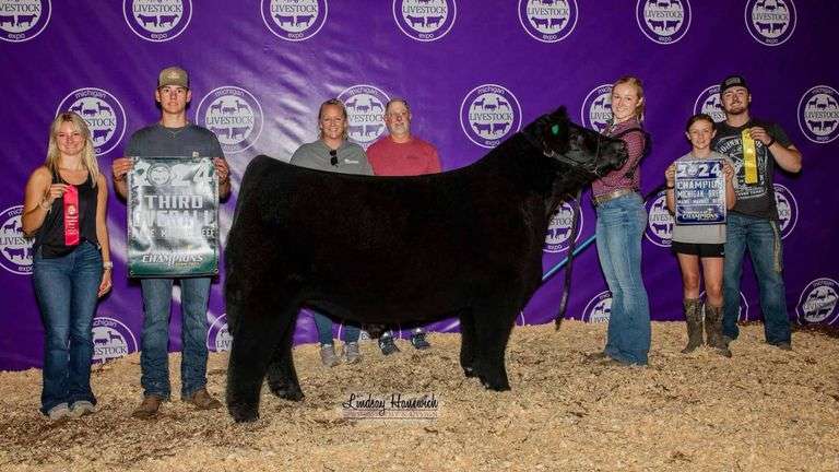 MIDNIGHT X WID EMBRYOS