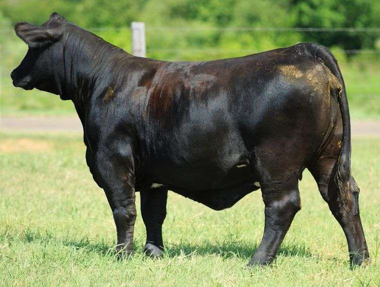 VESTAL TAG 122 STEER