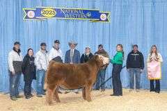 VESTAL TAG 128 STEER
