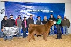 VESTAL TAG 128 STEER