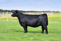 VESTAL TAG R84 STEER