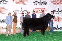 VESTAL TAG 262 STEER