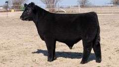 VESTAL TAG R425 STEER
