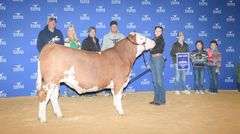 VESTAL TAG 144 STEER
