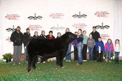 VESTAL TAG 122 STEER