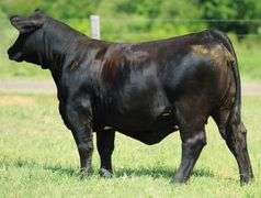 VESTAL TAG 122 STEER