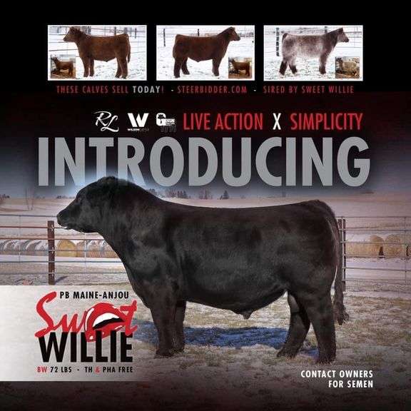 ASHWORTH SEMEN BUNDLE 2