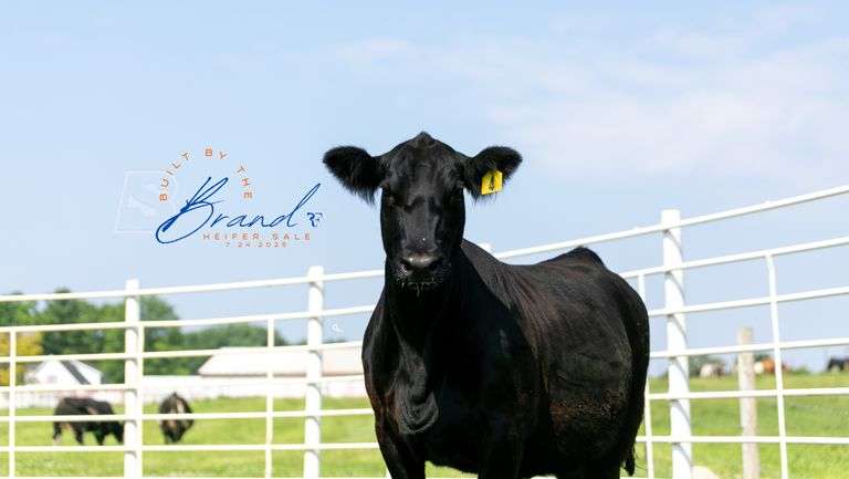 RICHLAND FARMS 7/24/25