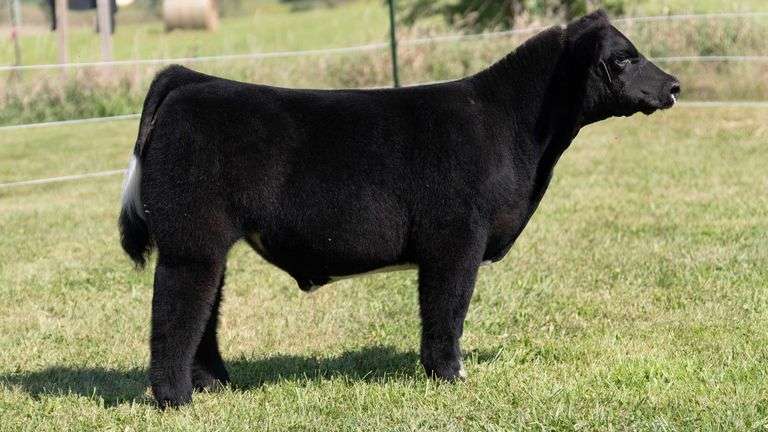 3R TAG 506 STEER