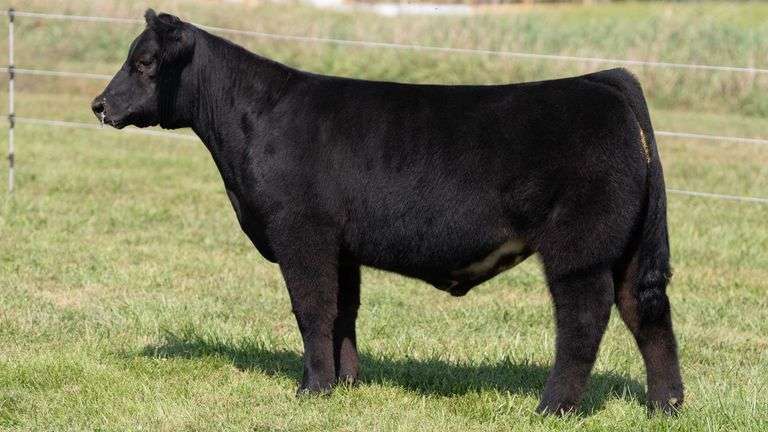 3R TAG 512 STEER