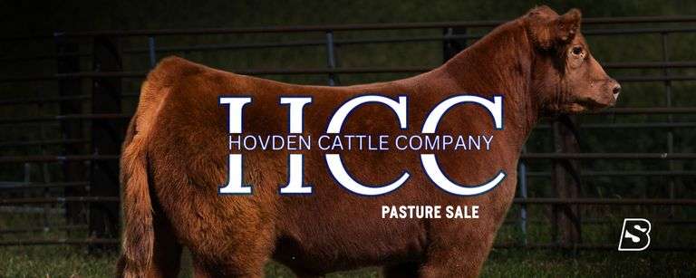HOVDEN CATTLE COMPANY 9/14/25