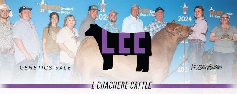 L CHACHERE CATTLE – GENETIC SALE – 9/2/25