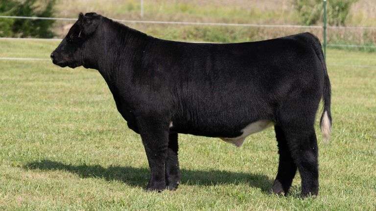 3R TAG 513 STEER