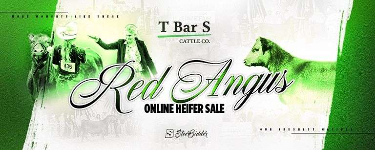 T BAR S CATTLE CO 9/25/25