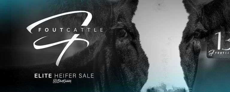 FOUT CATTLE 10/5/25