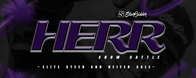 HERR SHOW CATTLE 9/28/25