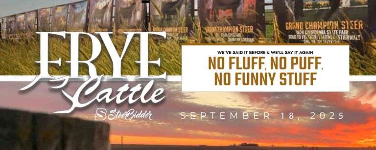 FRYE CATTLE 9/18/25