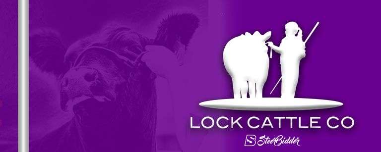 LOCK CATTLE CO 9/16/25
