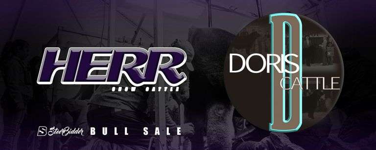 HERR SHOW CATTLE / DORIS CATTLE 1/14/26