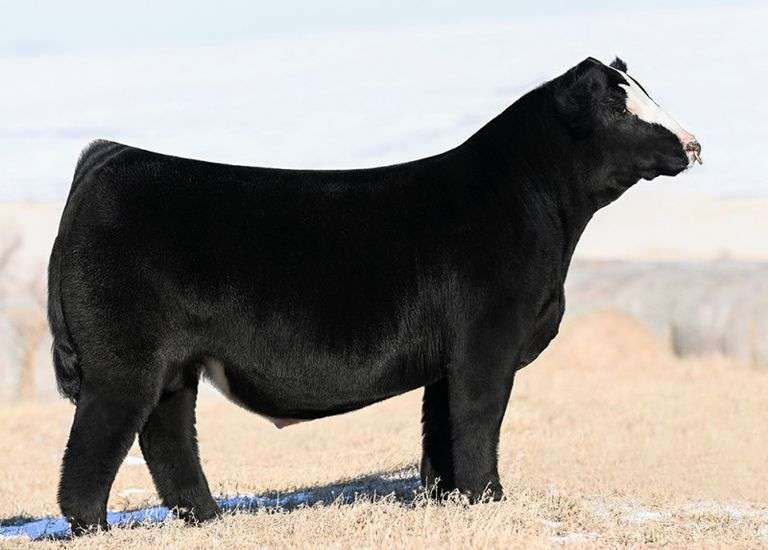 TIARKS NEXT LEVEL SEMEN